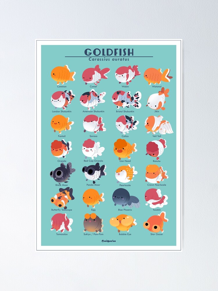 Milk Mocha popular goldfish Poster