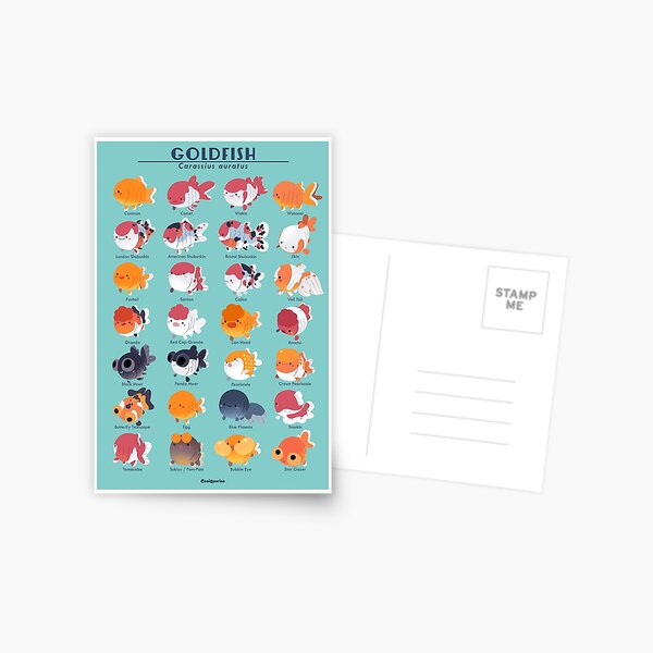 Goldfish Breed Poster Postcard