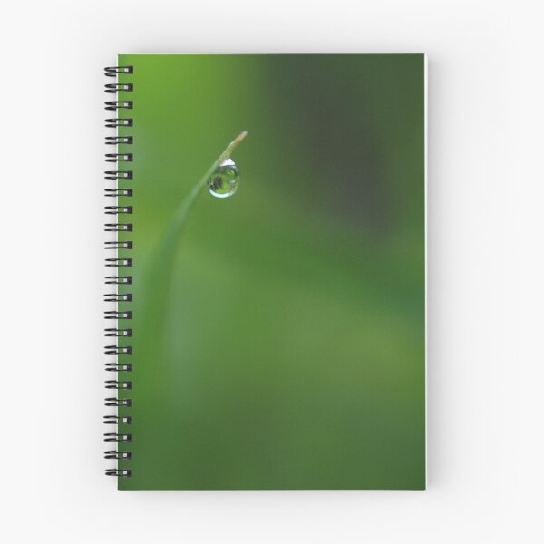 Item preview, Dew designed and sold by Steve  Woodman.