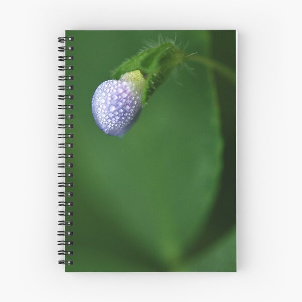 Aperçu de l'œuvre Bud dew créée et vendue par Steve Woodman.