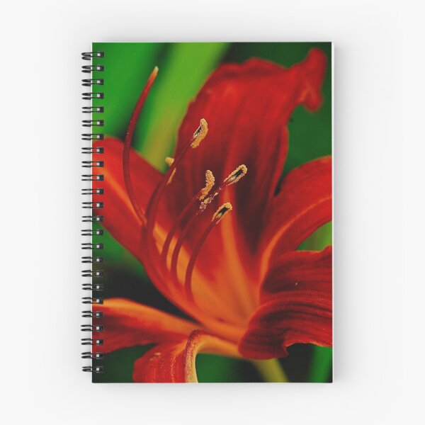 Item preview, Burnin Lily designed and sold by Michele Duncan IPA.