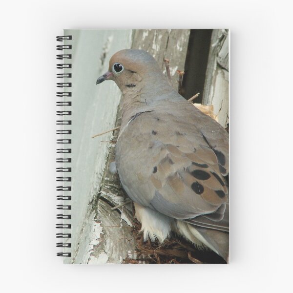 Item preview, Nesting Pigeon designed and sold by Perspective.