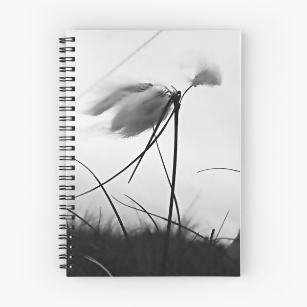 Item preview, cotton tail designed and sold by imagegrabber.