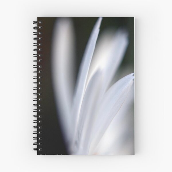 Item preview, D-2 designed and sold by Cassi Wilson.