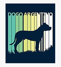 Cute Dogo Argentino Silhouette Photographic Print