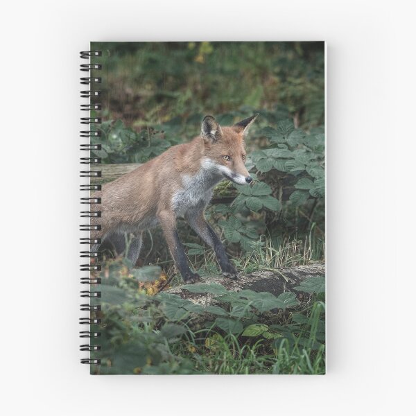 Item preview, Stalking designed and sold by nigehutchison.