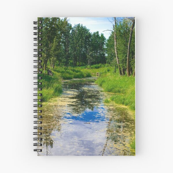 Aperçu de l'œuvre Lazy Summer Stream créée et vendue par gresl.