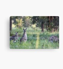 The mob Canvas Print