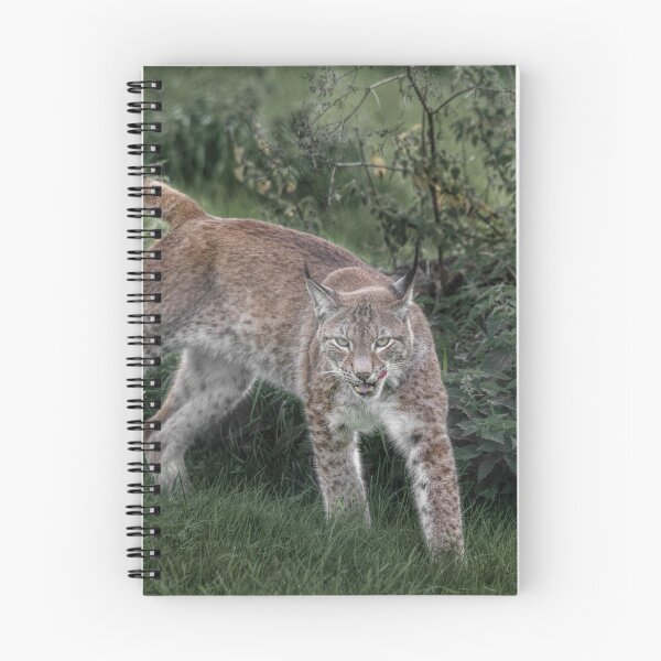 Item preview, Prowling designed and sold by nigehutchison.