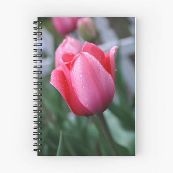 Item preview, Pink Tulip designed and sold by SnowflakeJen.