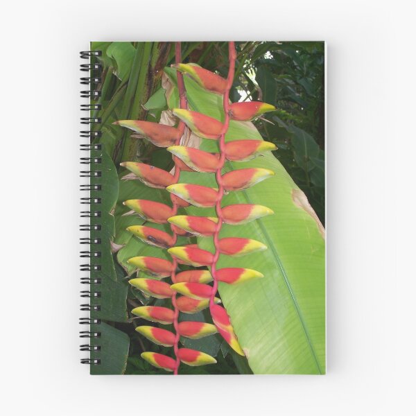 Item preview, Bird of Paradise designed and sold by wayatsagi.