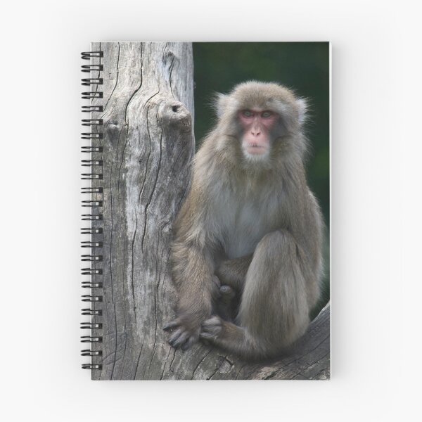 Item preview, snow monkey (japanese macaque) designed and sold by jude walton.
