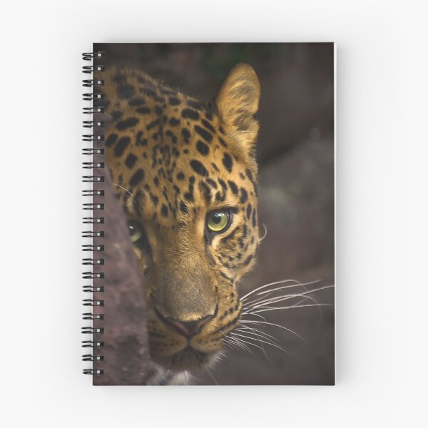 Item preview, Peek designed and sold by Cheri  McEachin.