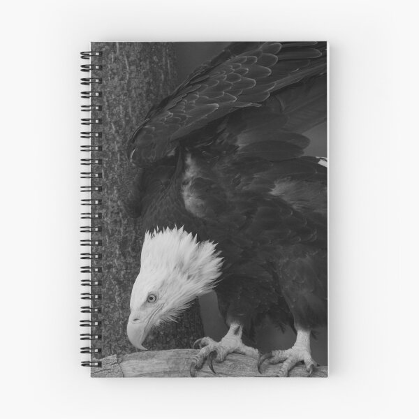 Item preview, eagle designed and sold by jude walton.