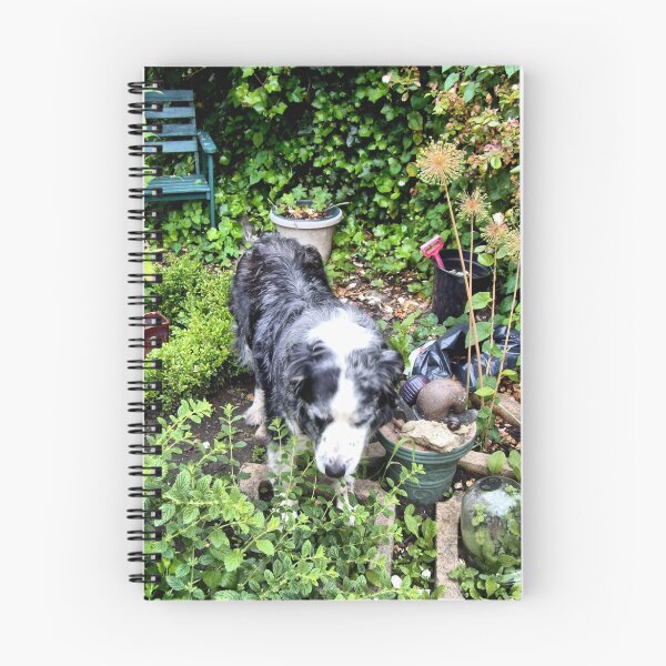 Item preview, Duke smelling the Lemon Balm designed and sold by hilarydougill.