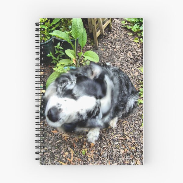 Item preview, Dukes idea of posing designed and sold by hilarydougill.
