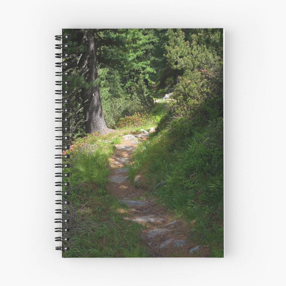 Item preview, Spiral Notebook designed and sold by walterq.