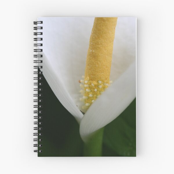 Item preview, Arum Lily designed and sold by picketty.