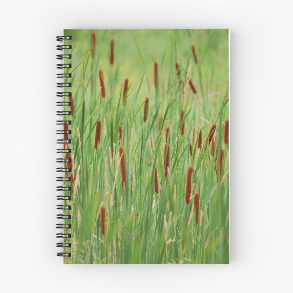 Item preview, cattail field designed and sold by Roslyn Lunetta.