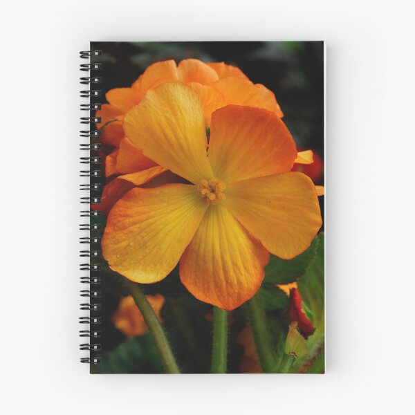 Item preview, Orange Begonia designed and sold by Michele Duncan IPA.