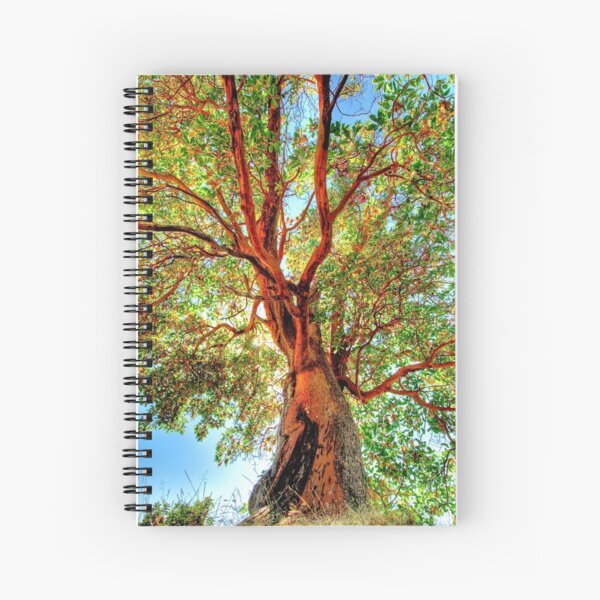 Shimmering Arbutus Spiral Notebook