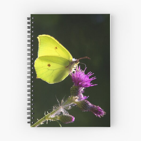 Item preview, Brimstone Butterfly designed and sold by Neil Bygrave (NATURELENS).