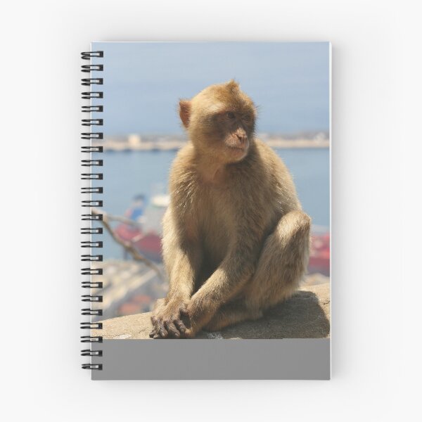 Item preview, Barbary Apes (Macaca Silvanus) designed and sold by Alex Young.