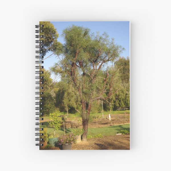 Item preview, Not just any old tree designed and sold by georgieboy98.