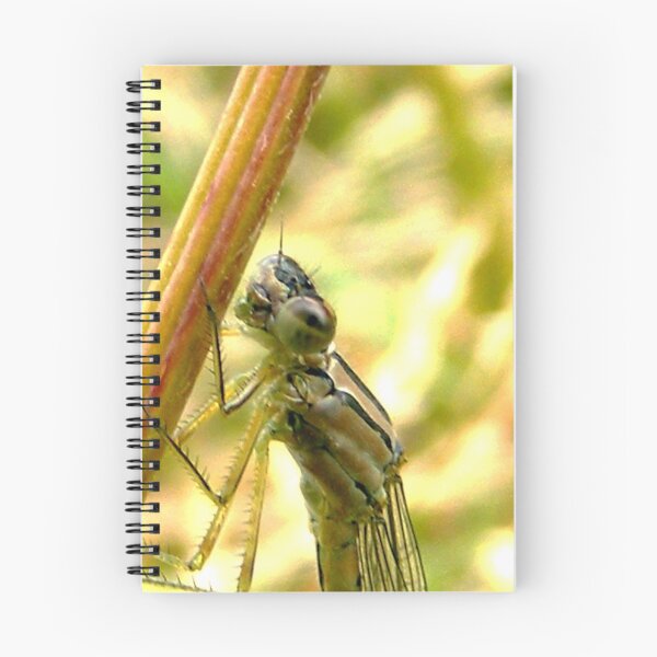 Item preview, adult damsel fly. designed and sold by Trevor Fellows.