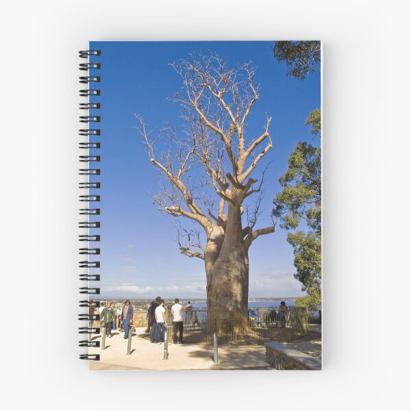 Item preview, Boab Tree designed and sold by Claire  Farley.