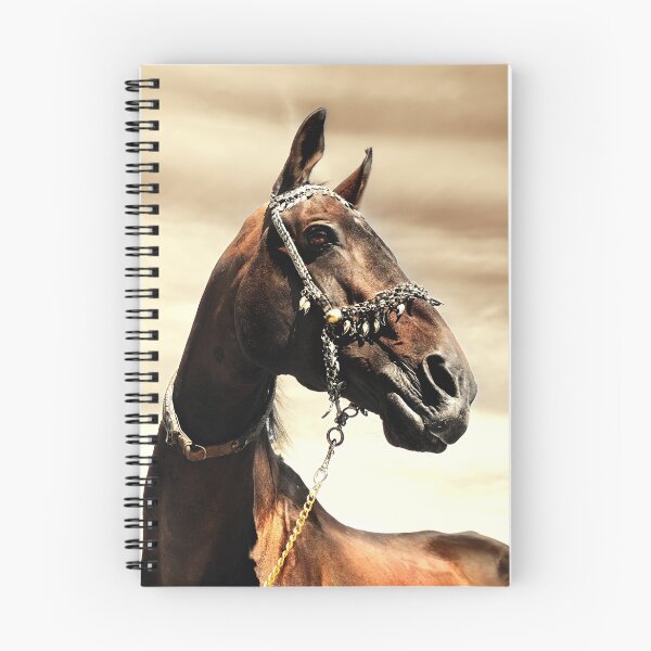 Item preview, majestic designed and sold by Dan Shalloe.