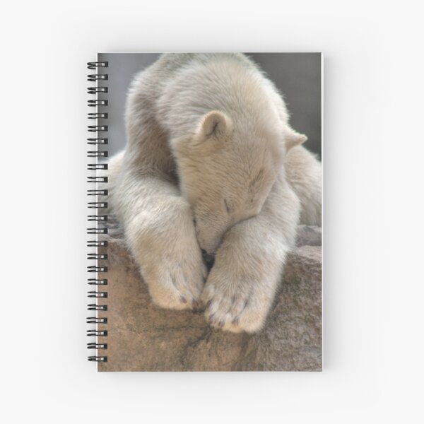Polar Bear Spiral Notebook