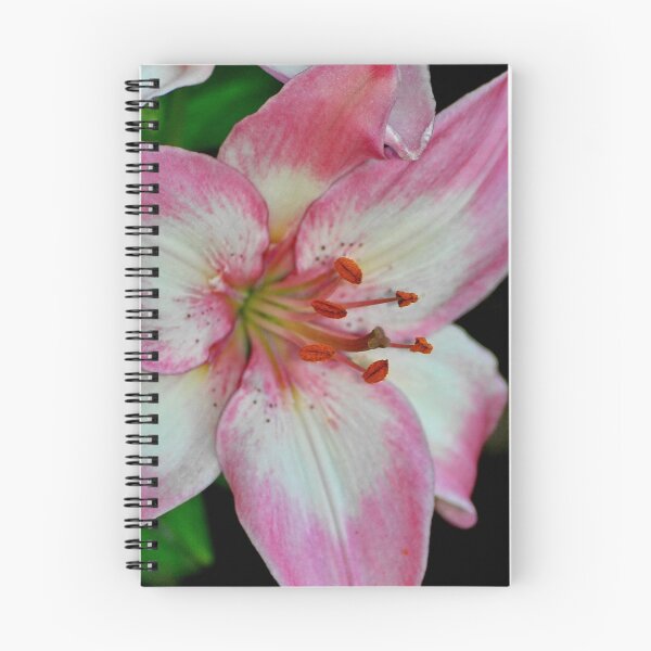 Item preview, In the Pink designed and sold by Cheri Perry.