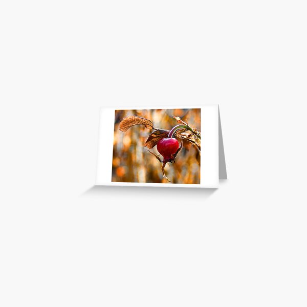 Autumn Rosehip Greeting Card