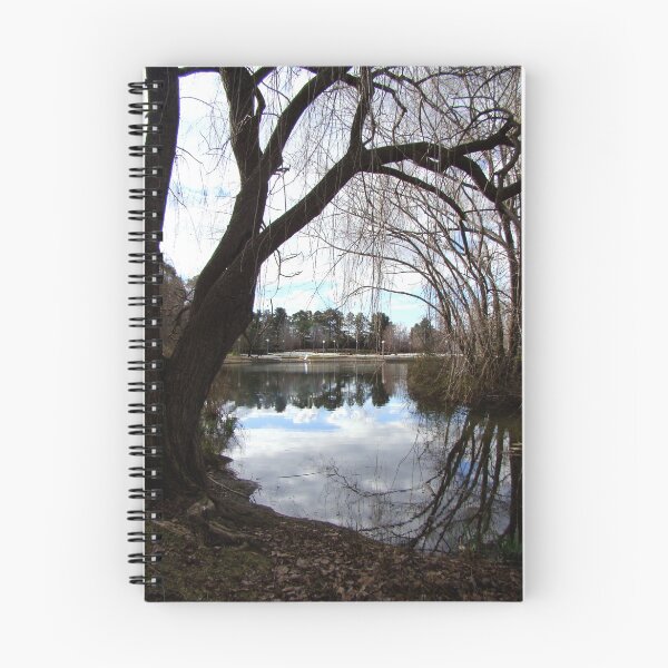 Item preview, on reflection designed and sold by Jan Stead JEMproductions.