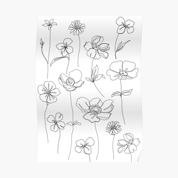 Botanical floral illustration - Botanicals White Poster