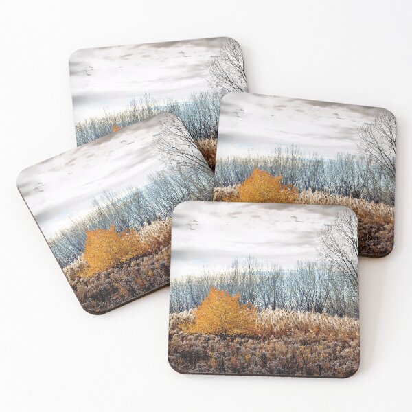 Item preview, November nature in Québec designed and sold by ANNABEL THOS.