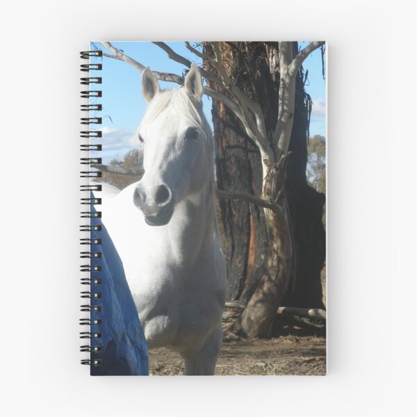 Item preview, Snowy River Moonlight Sonata designed and sold by Anthea Slade.