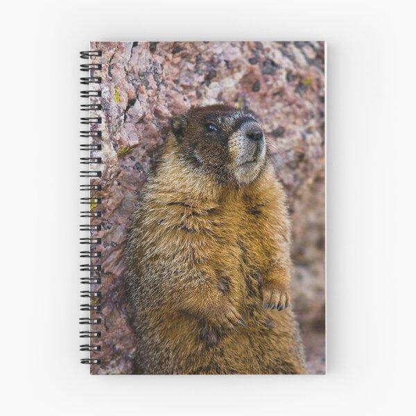 Item preview, Between a Rock and a Photographer designed and sold by Jay Ryser.