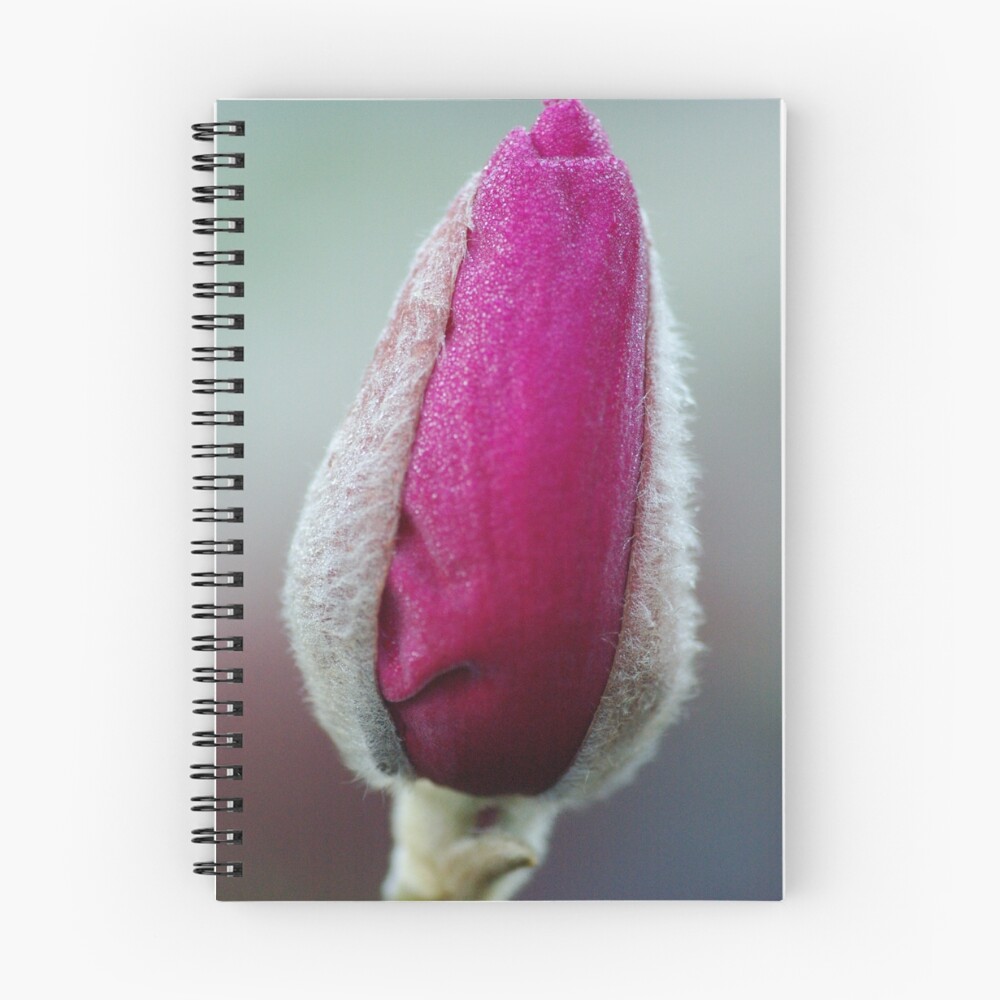 Item preview, Spiral Notebook designed and sold by AlisonHowson.