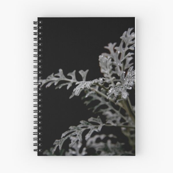Aperçu de l'œuvre Silver hands créée et vendue par HeidiD.