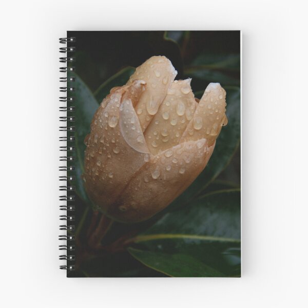 Item preview, Little gem designed and sold by HeidiD.