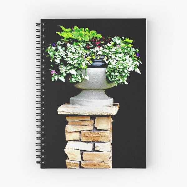 Item preview, Pot on a Pillar designed and sold by kenspics.