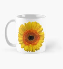 Asteraceae Tasse (Standard)