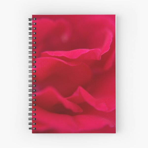 Aperçu de l'œuvre Red Rose créée et vendue par Carolyn Scutt.