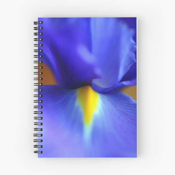 Item preview, Splash 3 designed and sold by Jo Anne Shinn.
