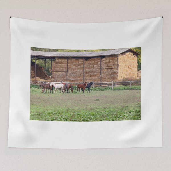 Item preview, herd of horses on farm agriculture designed and sold by goceris.