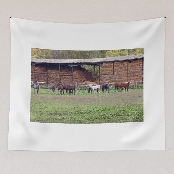 Item preview, horses on farm autumn season designed and sold by goceris.