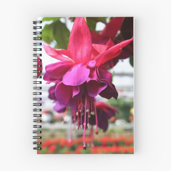 Item preview, FLORAL SERIES: FUSCHIA designed and sold by REDREAMER.