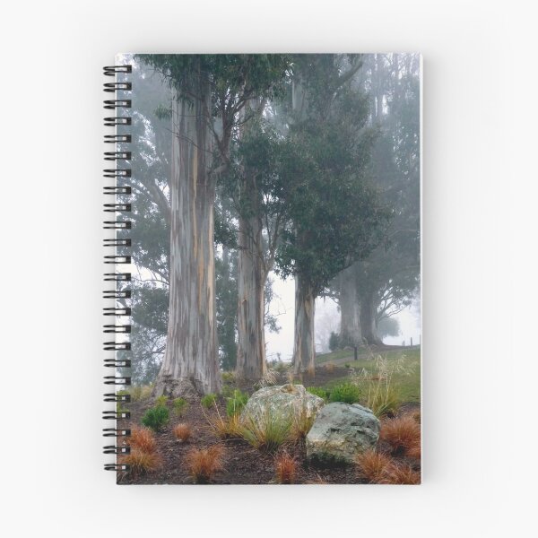 Item preview, Morning Mist on Lake Te Anau designed and sold by Magee.